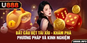 Bắt Cầu Bệt Tài Xỉu - Khám Phá Phương Pháp Và Kinh Nghiệm