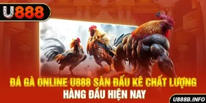 Đá Gà Online U888 - Sàn Đấu Kê Chất Lượng Hàng Đầu Hiện Nay