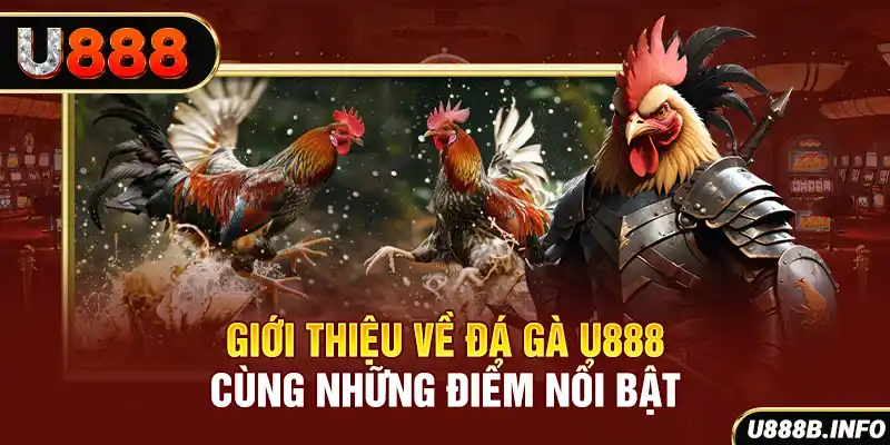Giới thiệu về đá gà U888 cùng những điểm nổi bật
