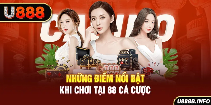 Những điểm nổi bật khi chơi tại 88 cá cược