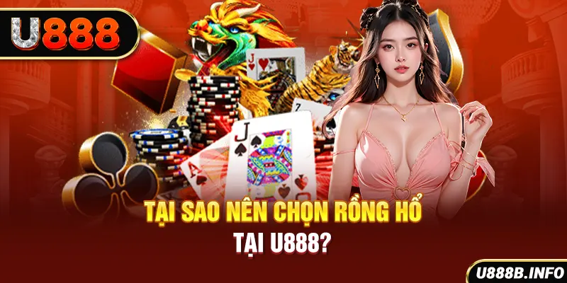 Tại sao nên chọn rồng hổ tại U888?