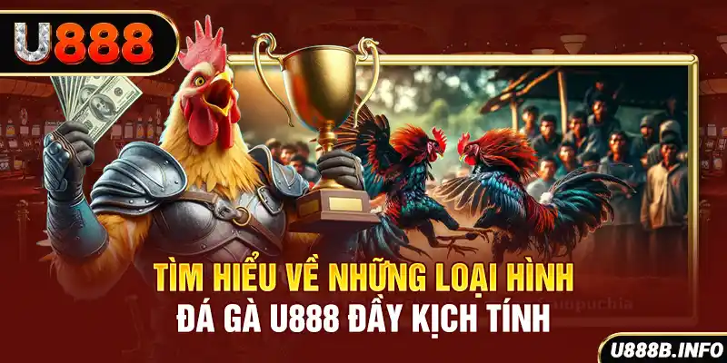Tìm hiểu về những loại hình đá gà U888 đầy kịch tính