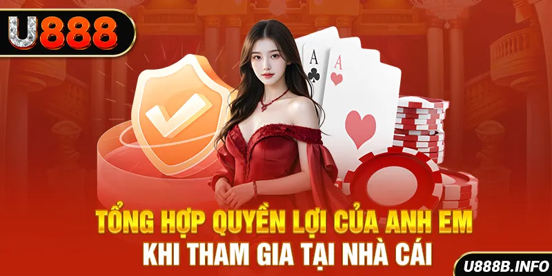 Tổng hợp quyền lợi của anh em khi tham gia tại nhà cái